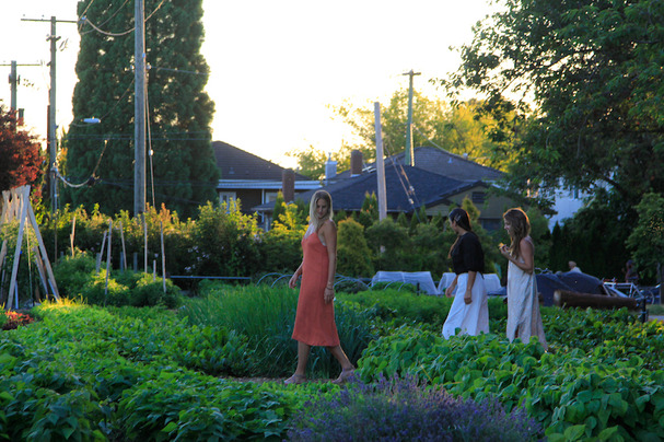 FreshRootsFarm_SchoolyardFarmDinner2019_1 2 FreshRootsFarm_SchoolyardFarmDinner2019_1 2